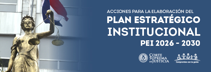 Acciones para la elaboración del PEI 2026 - 2030