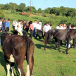 La comitiva verificó mataderías del departamento Central.