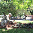 El jardín otorga un renovado aspecto a la plaza.