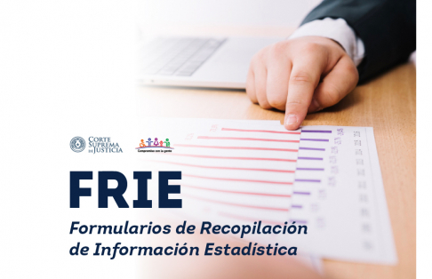 Se encuentran disponibles los Formularios de Recopilación de Informaciones Estadísticas-FRIE.