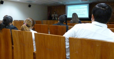 La licenciada Nilda Flores hablando para los funcionarios sobre la lucha contra el  dengue.