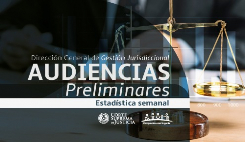 Informe de audiencias preliminares de Juzgados Penales de Garantías de Capital.