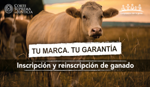 Primeras jornadas de inscripción y reinscripción de ganado se realizarán en Alto Paraguay