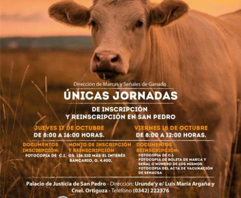 Afiche informativo de la actividad.