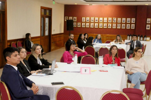 En esta ocasión, el taller estuvo dirigido a representantes de las Oficinas Técnicas de Apoyo y a las Secretarías de la Corte, quienes contribuirán al trabajo previsto en dicho plan.