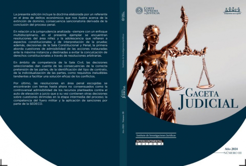 Tercera Edición de la Gaceta Judicial, Año 2024