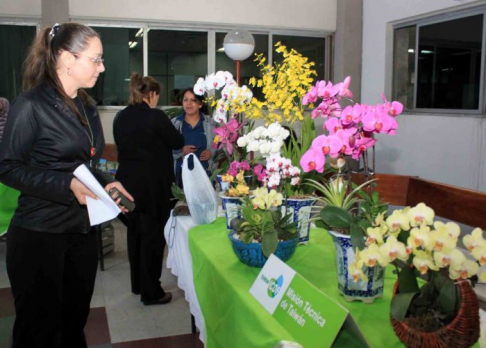 Conmemoraron la entrada de la Primavera con una exposición floral