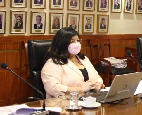 En la sesión plenaria de la fecha, la ministra Llanes hizo un breve resumen de datos estadísticos de las circunscripciones judiciales de Canindeyú e Itapúa que cuentan con el Expediente Judicial Electrónico.